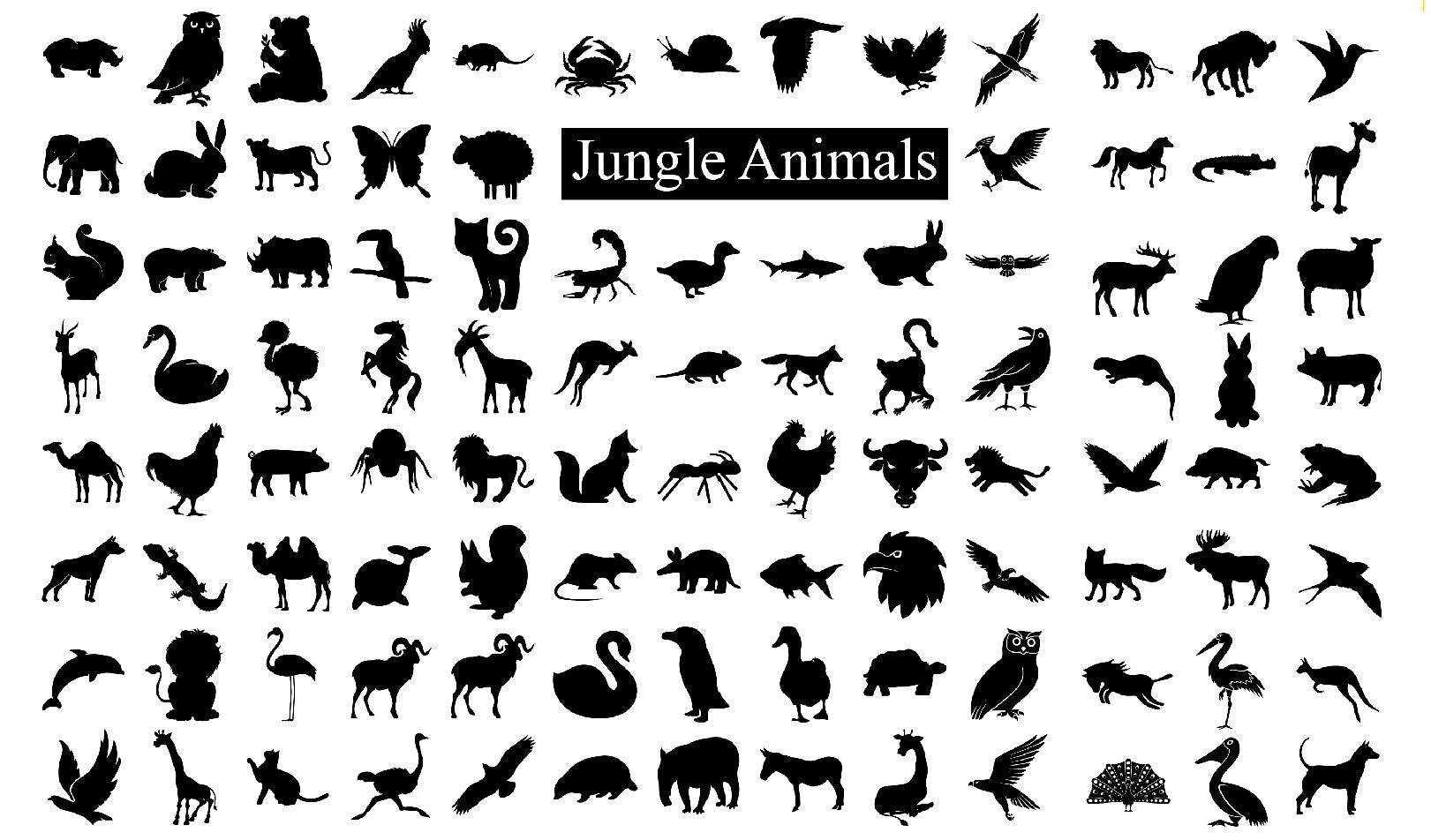 100 Crazy and Wild about Animals SVG Bundle