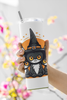 6 Halloween Sweet & Sassy Kittens Sublimation Wraps
